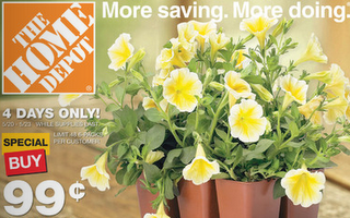 home-depot-99c-flowers.png