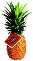 Del Monte Pineapple