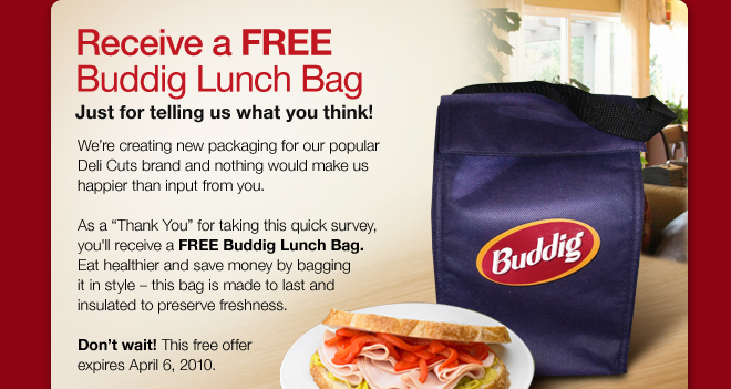 buddig-lunch-bag.jpg