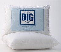 big-one-pillow.jpg