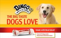 Dingo-Logo.jpg
