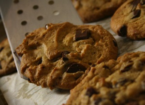Insomnia-Cookies.jpg Insomnia-Cookies.jpg