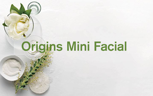 Origins-Mini-Facial.png