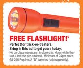 RadioShack-FREE-Flashlight.jpg