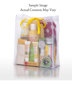 Burts-Bees-Grab-Bag.jpg Burts-Bees-Grab-Bag.jpg